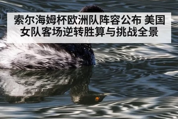 索尔海姆杯欧洲队阵容公布 美国女队客场逆转胜算与挑战全景